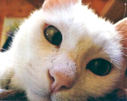 Felipe (Januar 2005)