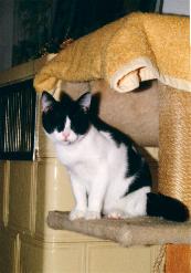 Pamina (Februar 2002)