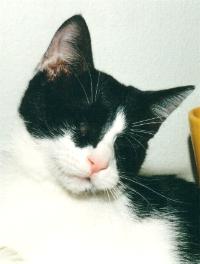 Pamina (Februar 2002)