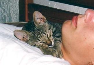 Namenloses K&auml;tzchen mit Mensch (Lendas August 2002)