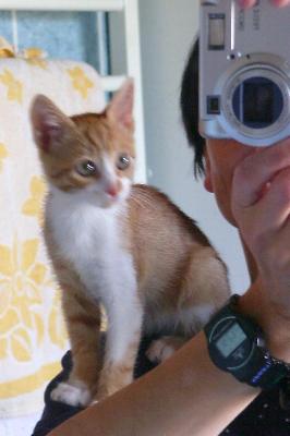 Mikis im Spiegel (September 2004)