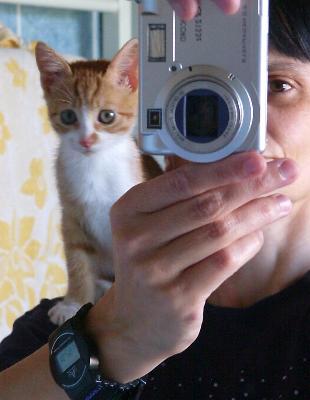 Mikis im Spiegel (September 2004)