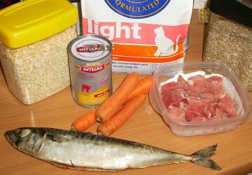 Verschiedene Futter- und Nahrungsmittel