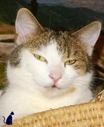 Sweety hat den Überblick (Dezember 2003)