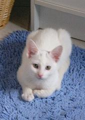 Chris (November 2004)