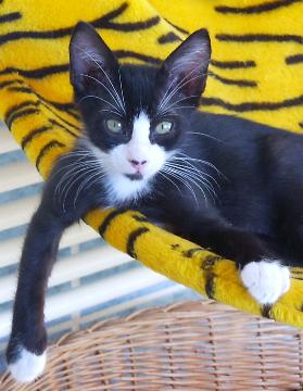 Jerry (November 2005)