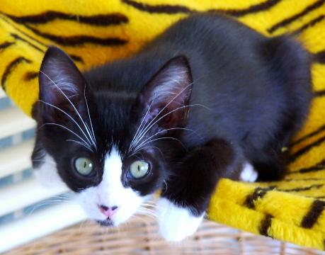 Jerry (November 2005)