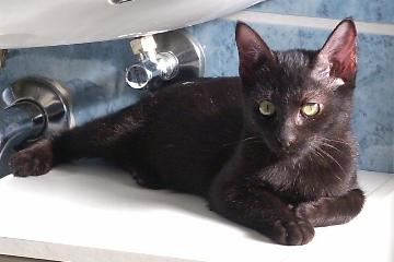 Maja (November 2005)