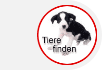 www.Tiervermittlung.net - Datenbank des Deutschen Tierschutzbunds