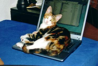 Fiona (September 2004)