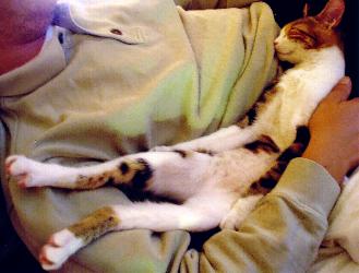 Fiona (September 2004)