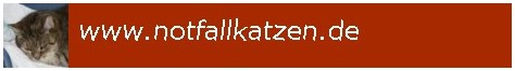 www.notfallkatzen.de - Vermittlung alter, kranker oder behinderter Katzen