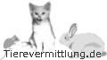 ZERGportal - Zentralregister Tierevermittlung.de