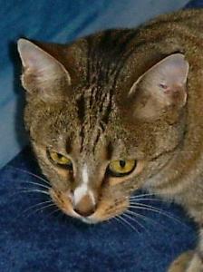 Svenja (November 2003)