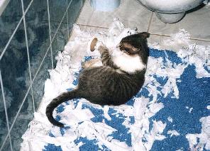 Quarant&auml;ne im Badezimmer mu&szlig; nicht langweilig sein (Quietsch September 2000)