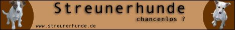 www.streunerhunde.de/