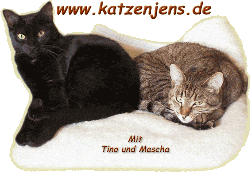 www.katzenjens.de