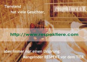 www.respektiere.com