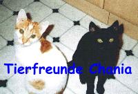 Tierfreunde Chania e.V.