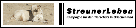 StreunerLeben - Kampagne für den Tierschutz in Griechenland